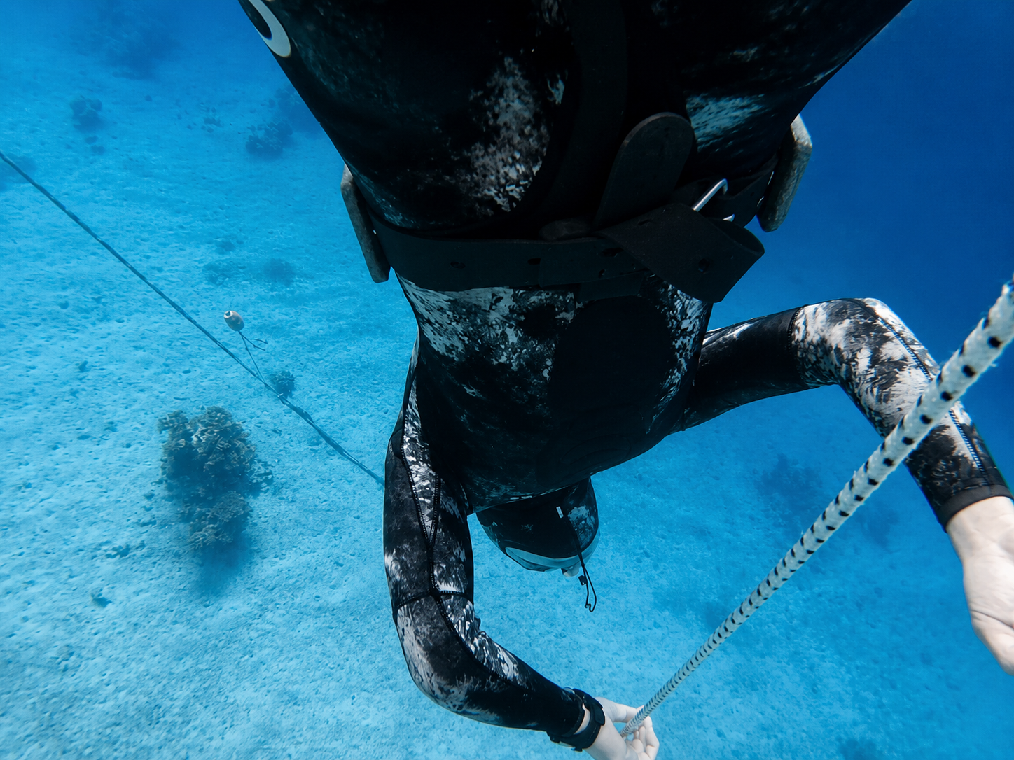 Freediving in Tala Bay, Aqaba — gallery preview 1